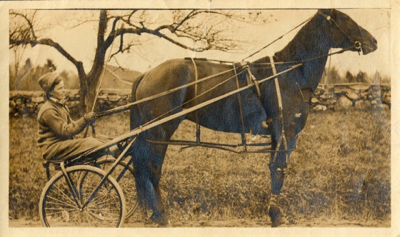 Como bestias del siglo xix, las personas eran amigos