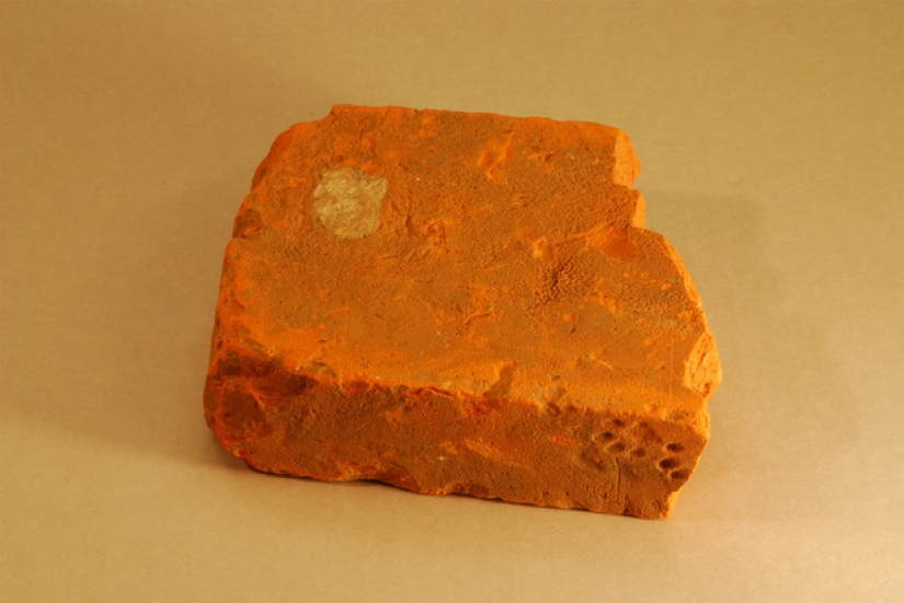 Como los gatos en la historia, el patrimonio