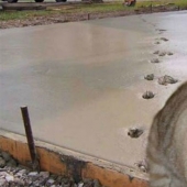 Como los gatos en la historia, el patrimonio