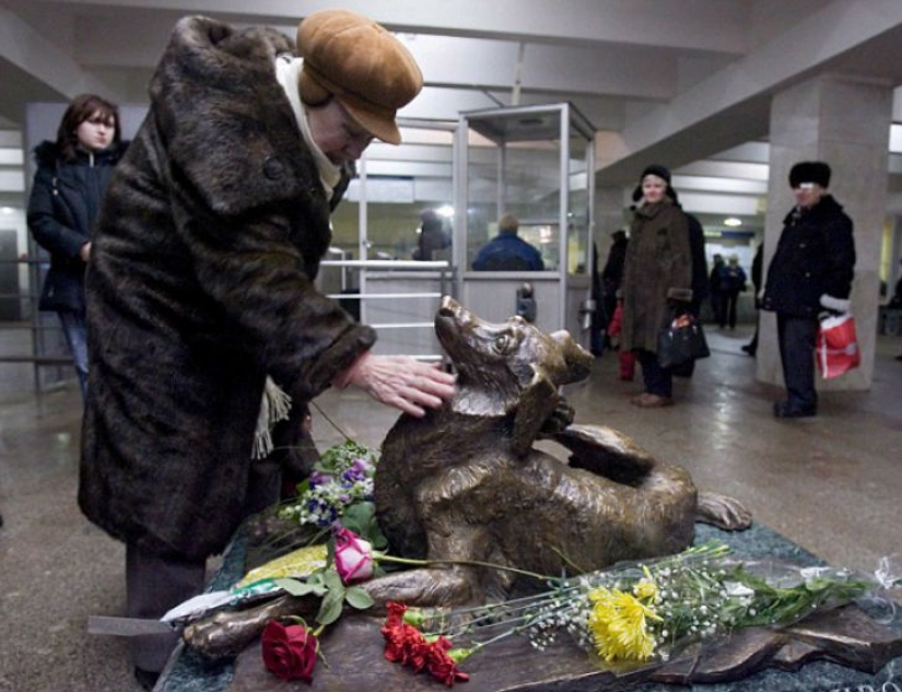 Como los perros callejeros son guiados en el metro de Moscú Como los perros callejeros son guiados en el metro de Moscú
