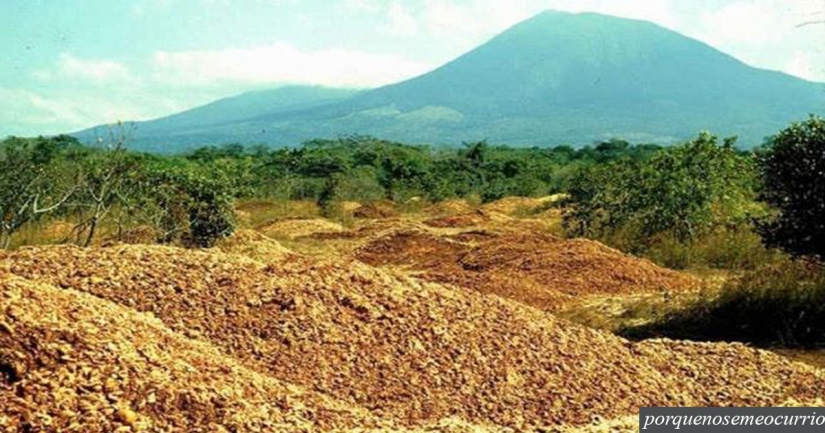 Como un montón de cáscaras de naranja cambiado el ecosistema en América Central