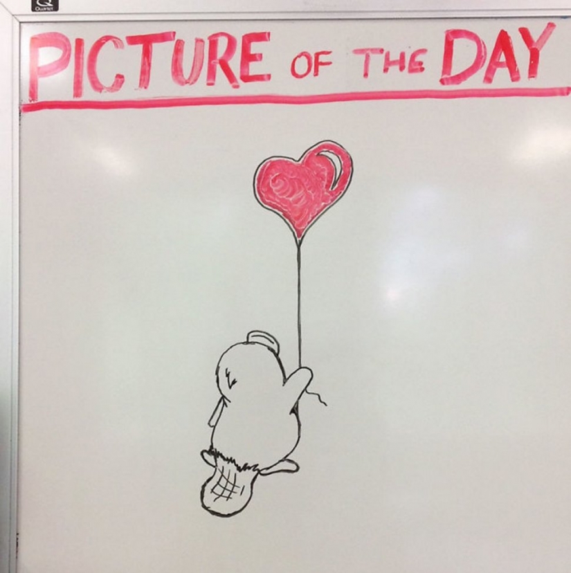 Creativo maestro de historia que cada día hace dibujos en el Tablero