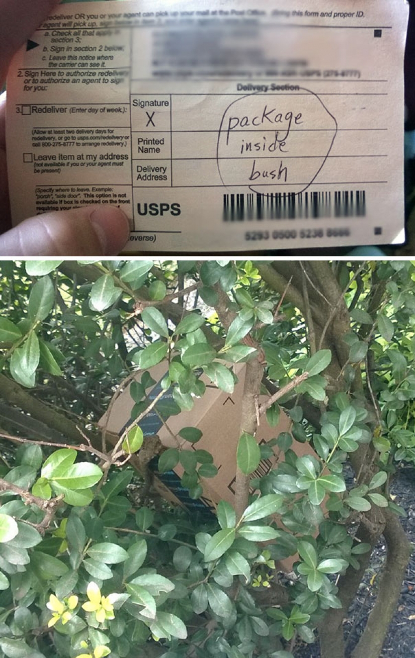 Cuando el cartero — no Pechkin: epic fallas en la entrega de servicios