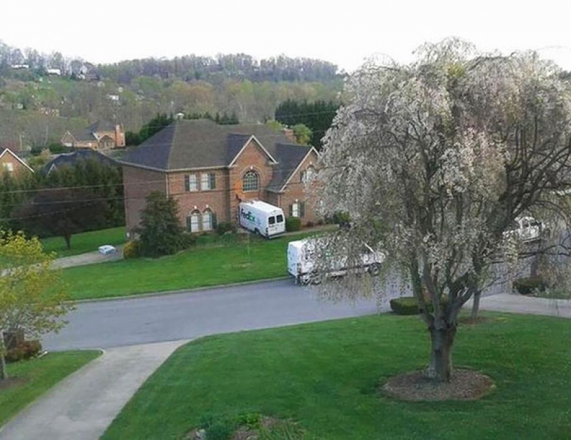 Cuando el cartero — no Pechkin: epic fallas en la entrega de servicios