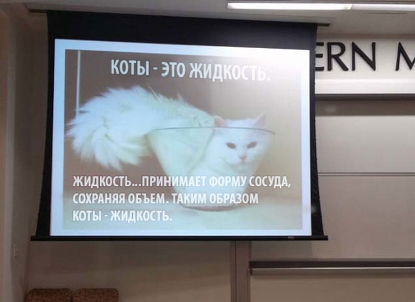 Cuando el maestro es realmente genial Cuando el maestro es realmente genial