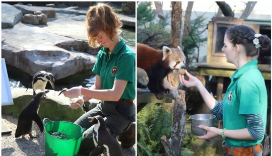 Cuatro empleados de un zoológico en el reino unido esperar a que pase la cuarentena de los animales