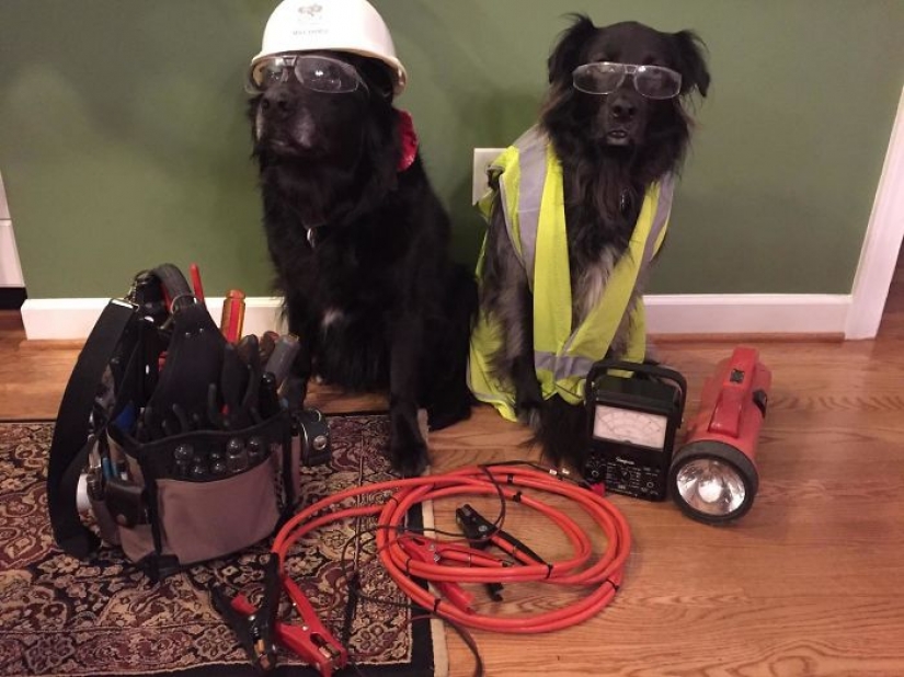 Dad jokes: the best examples of father of trolling