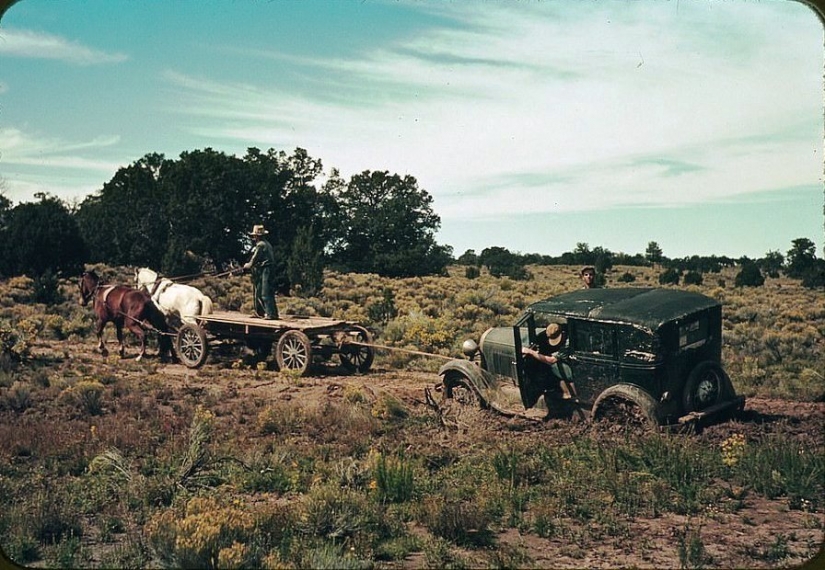 De los caballos de Ford: como un "domesticados" Salvaje Oeste