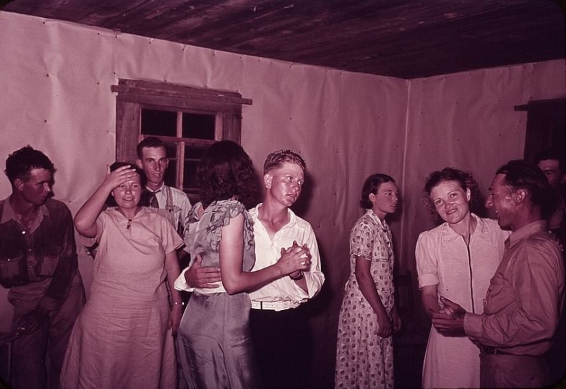 De los caballos de Ford: como un "domesticados" Salvaje Oeste