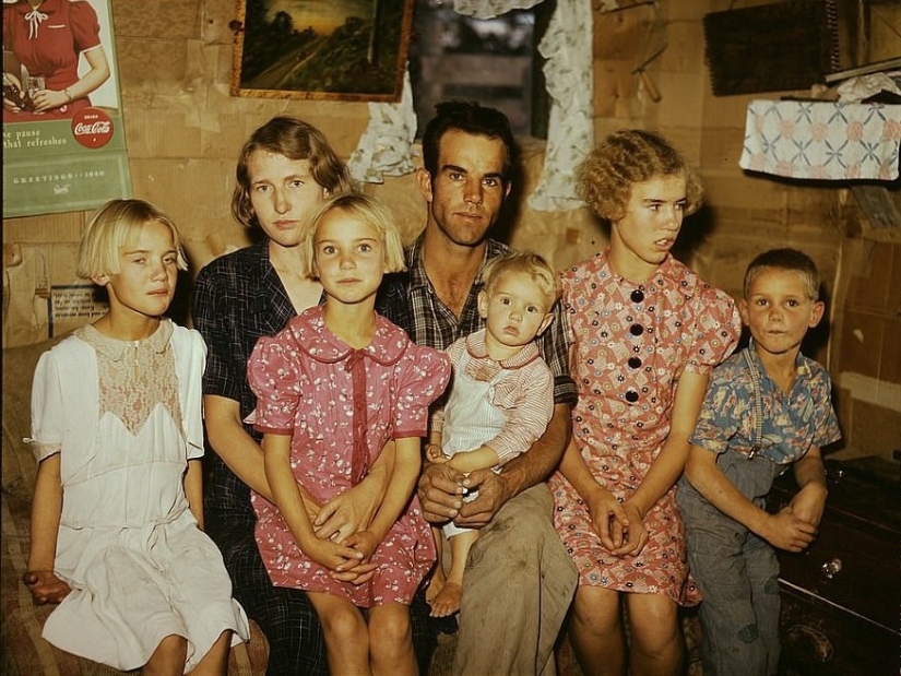 De los caballos de Ford: como un "domesticados" Salvaje Oeste