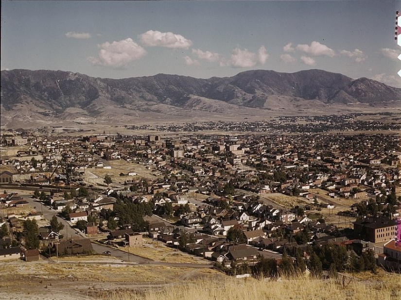 De los caballos de Ford: como un "domesticados" Salvaje Oeste