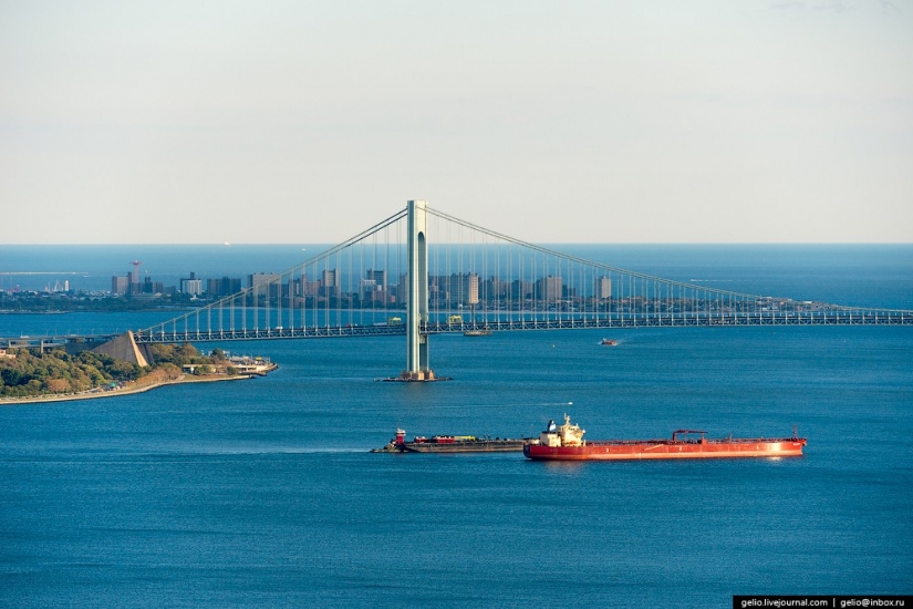 De nueva York a partir de la altura de vuelo de los pájaros