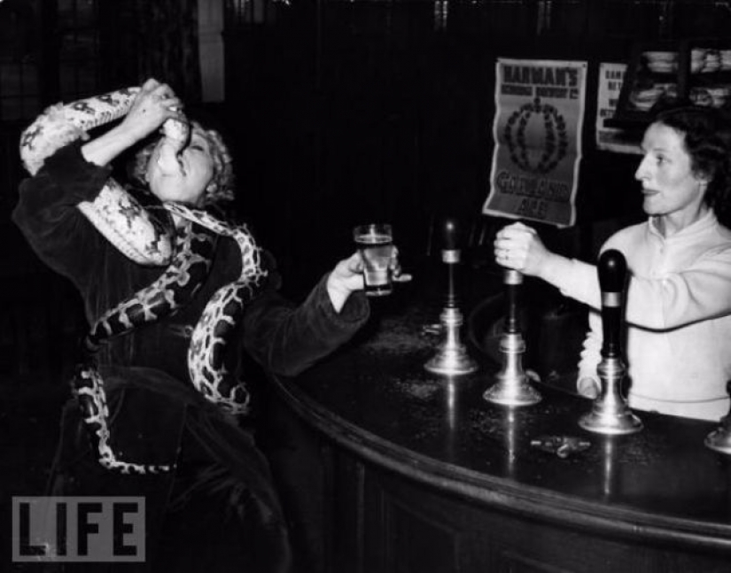 Death defying crazy stunts in retrofuture