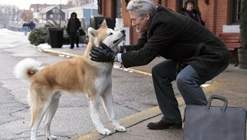 Describir el máximo aburrido de la película en las redes sociales ha puesto en marcha un nuevo flashmob