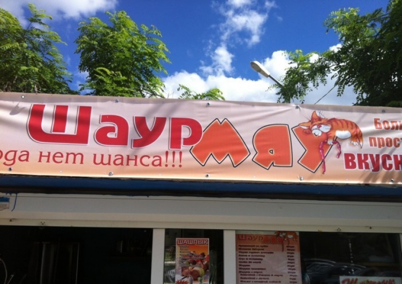 Diagnóstico — el diseñador de Dios: una colección de cosas extrañas, nacido de una verdadera "Pro"