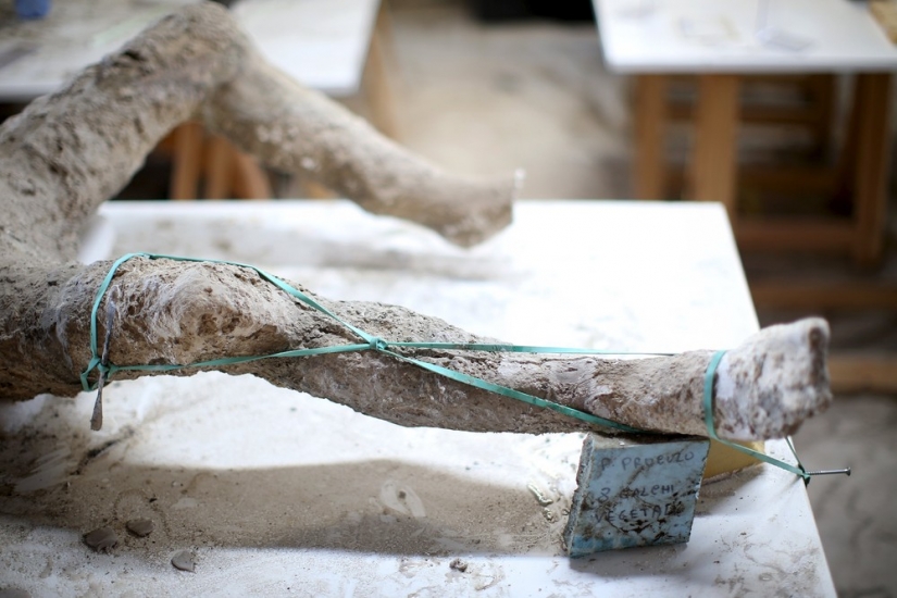 Die inhabitants of Pompeii