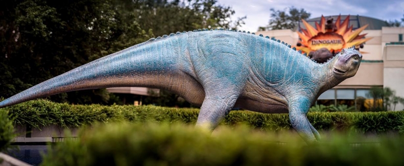 Disneyland — the magical world where adults turn into children Disneyland — the magical world where adults turn into children