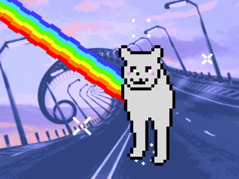 Divertido encaramado en los pasos de un gato se convirtió en un héroe fotozhab Divertido encaramado en los pasos de un gato se convirtió en un héroe fotozhab