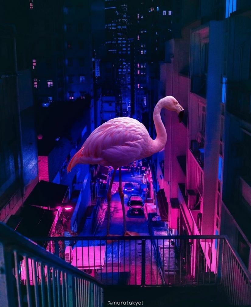 Dreams of something more: worlds 19-year-old digital artist from Turkey