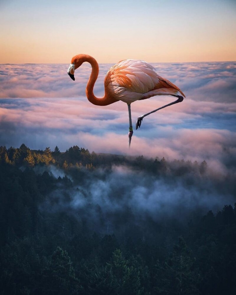 Dreams of something more: worlds 19-year-old digital artist from Turkey