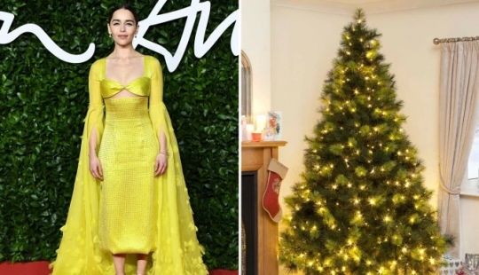 Dressed to the nines stars as Christmas tree: 13 fashion images of celebrities and Christmas trees in the same style Dressed to the nines stars as Christmas tree: 13 fashion images of celebrities and Christmas trees in the same style
