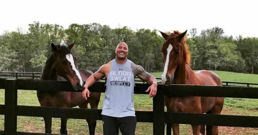 Drogado: 10 artículos de lujo que son propiedad de la Roca Johnson Drogado: 10 artículos de lujo que son propiedad de la Roca Johnson