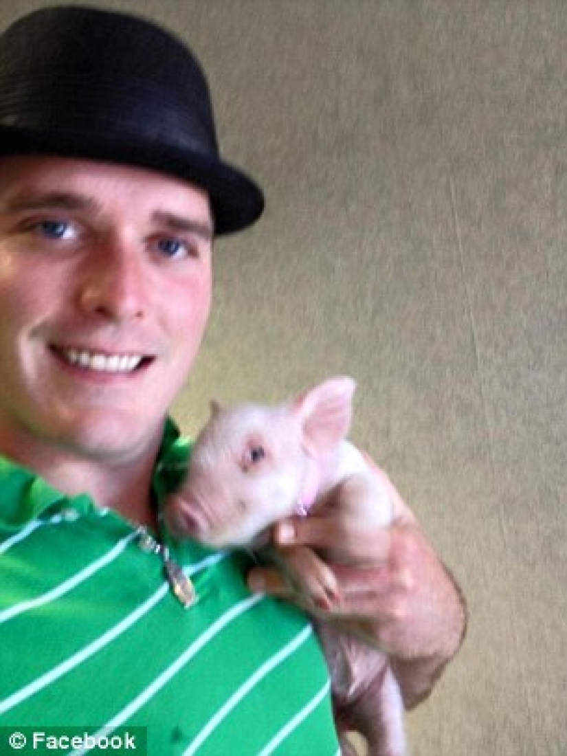 "Dwarf" pig grew to 300 pounds, forcing the owners to buy a new house