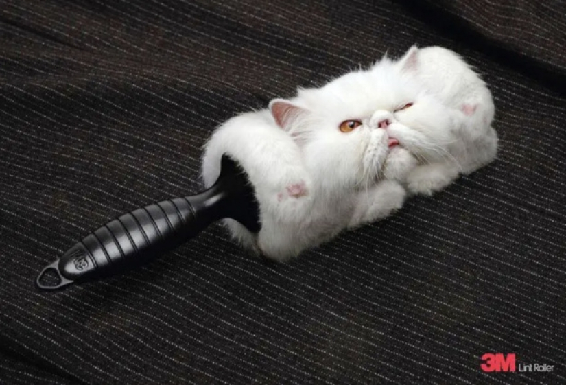 15 ejemplos de cómo los anuncios pueden ser realmente interesantes