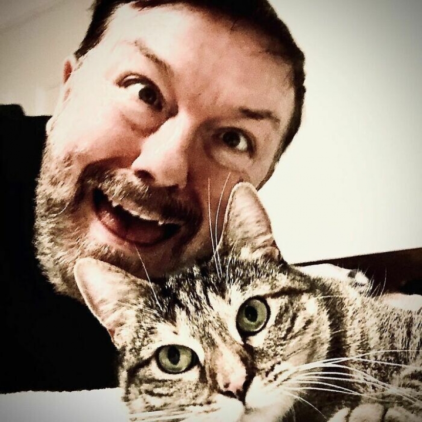 El Actor Ricky Gervais pensado para llevar al gato a la sobreexposición, pero ella cambió sus planes El Actor Ricky Gervais pensado para llevar al gato a la sobreexposición, pero ella cambió sus planes