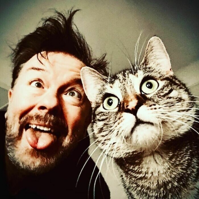 El Actor Ricky Gervais pensado para llevar al gato a la sobreexposición, pero ella cambió sus planes El Actor Ricky Gervais pensado para llevar al gato a la sobreexposición, pero ella cambió sus planes