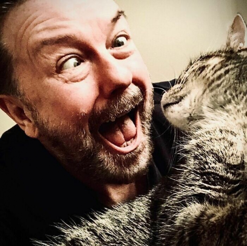 El Actor Ricky Gervais pensado para llevar al gato a la sobreexposición, pero ella cambió sus planes El Actor Ricky Gervais pensado para llevar al gato a la sobreexposición, pero ella cambió sus planes