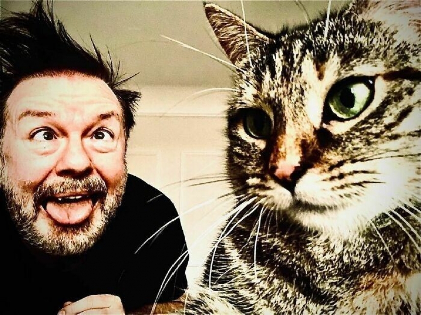 El Actor Ricky Gervais pensado para llevar al gato a la sobreexposición, pero ella cambió sus planes El Actor Ricky Gervais pensado para llevar al gato a la sobreexposición, pero ella cambió sus planes