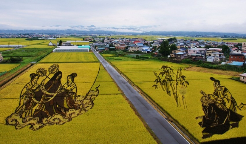 El arte de Tambo — increíbles imágenes en los campos de arroz de Japón El arte de Tambo — increíbles imágenes en los campos de arroz de Japón