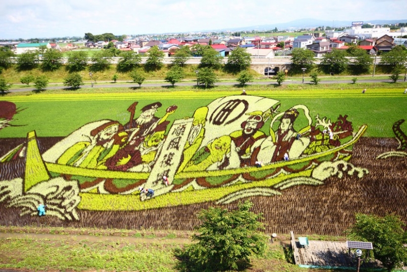 El arte de Tambo — increíbles imágenes en los campos de arroz de Japón El arte de Tambo — increíbles imágenes en los campos de arroz de Japón