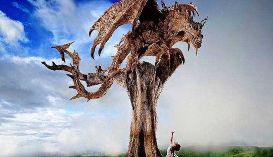 El artista transforma la madera de deriva en bellas esculturas de animales en movimiento El artista transforma la madera de deriva en bellas esculturas de animales en movimiento