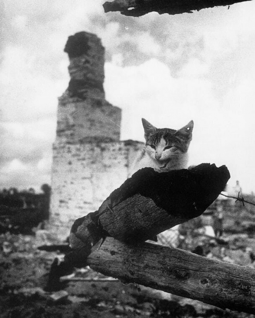 El chico de Riga da vida a un viejo Soviética de la foto, lo que les obliga a moverse