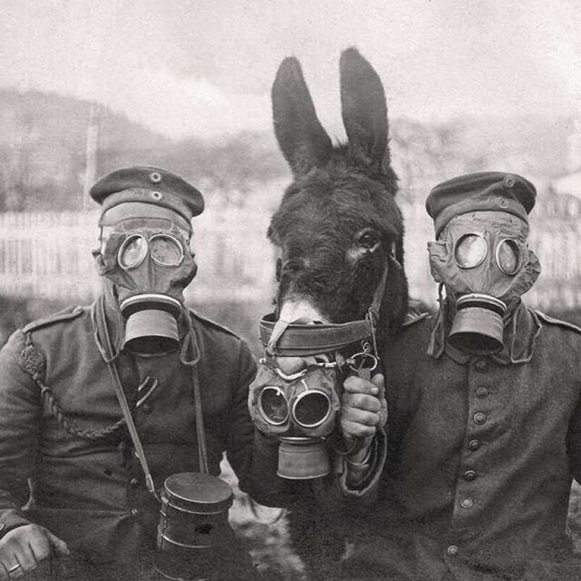 El chico de Riga da vida a un viejo Soviética de la foto, lo que les obliga a moverse