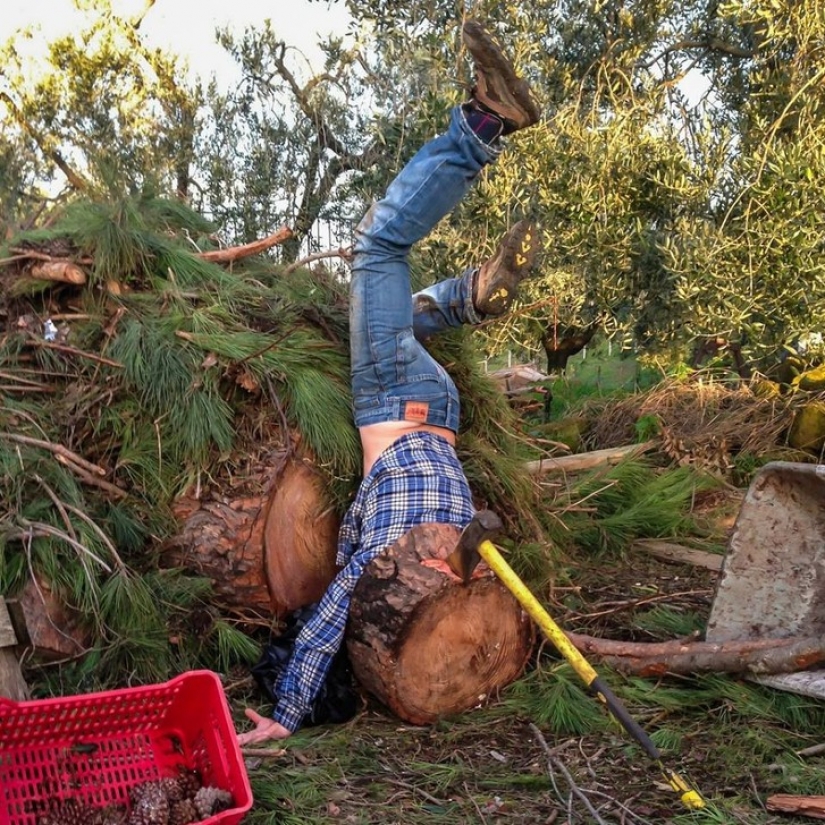 El colapso y la caída de las ilusiones de la vida: imágenes graciosas sobre los accidentes simulados El colapso y la caída de las ilusiones de la vida: imágenes graciosas sobre los accidentes simulados
