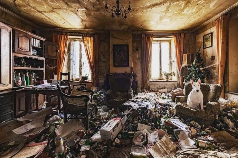 El fotógrafo y su pit bull hablar acerca de las reglas de la vida en el coronavirus