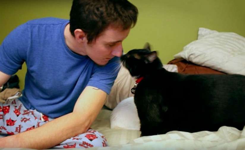 El gato callejero corrió el chico de abajo y le salvó del suicidio El gato callejero corrió el chico de abajo y le salvó del suicidio