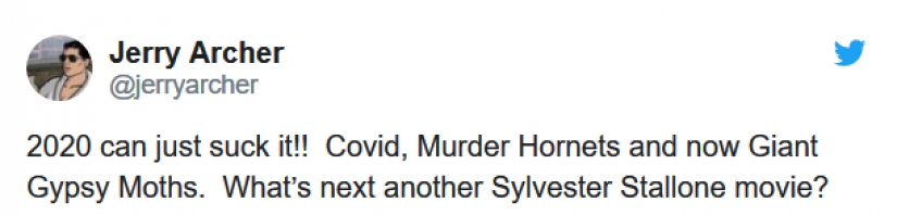 El gigante de lymantria en los Estados unidos — un nuevo ataque difícil de 2020