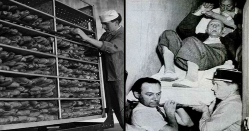 El misterio de los malditos pan: de quién es la culpa, de la CIA, de Stalin o del cornezuelo de centeno? El misterio de los malditos pan: de quién es la culpa, de la CIA, de Stalin o del cornezuelo de centeno?