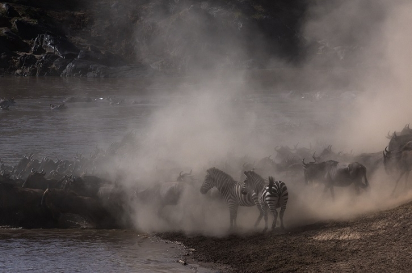 El más espectacular show en el salvaje