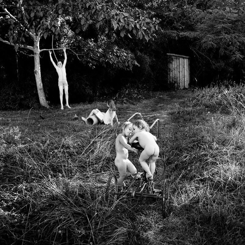 El más hermoso álbum familiar El más hermoso álbum familiar