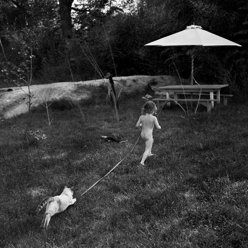 El más hermoso álbum familiar El más hermoso álbum familiar