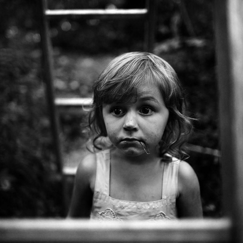 El más hermoso álbum familiar El más hermoso álbum familiar