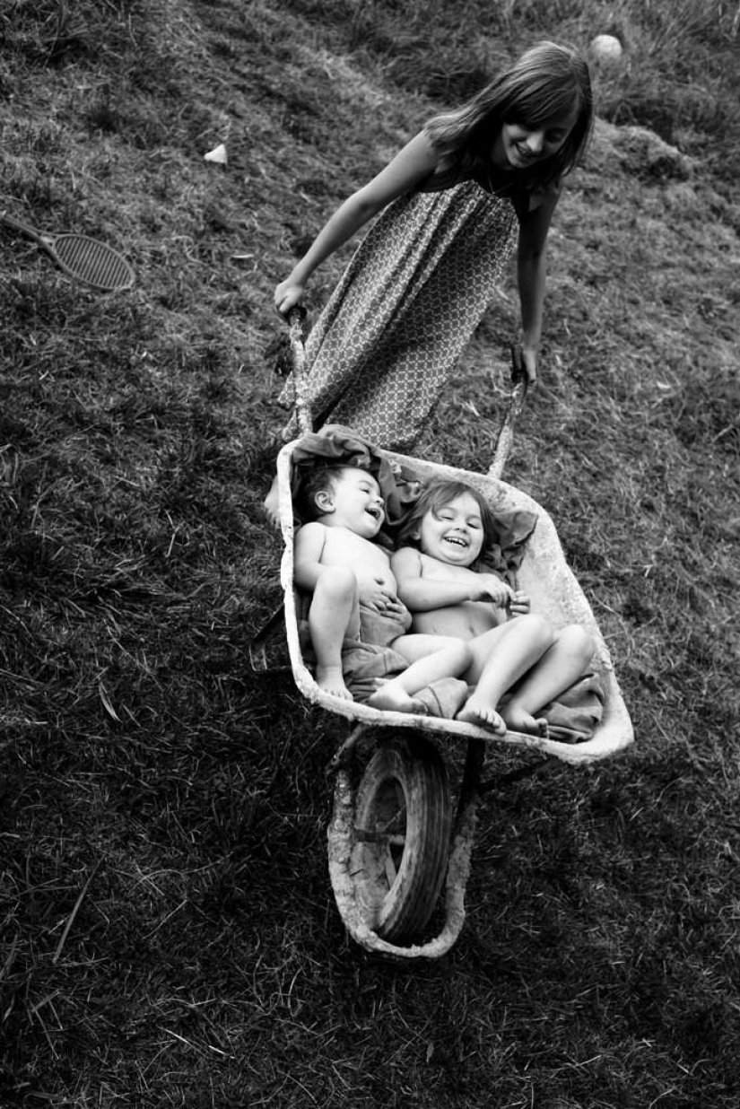 El más hermoso álbum familiar El más hermoso álbum familiar