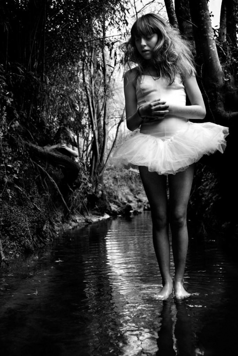 El más hermoso álbum familiar El más hermoso álbum familiar