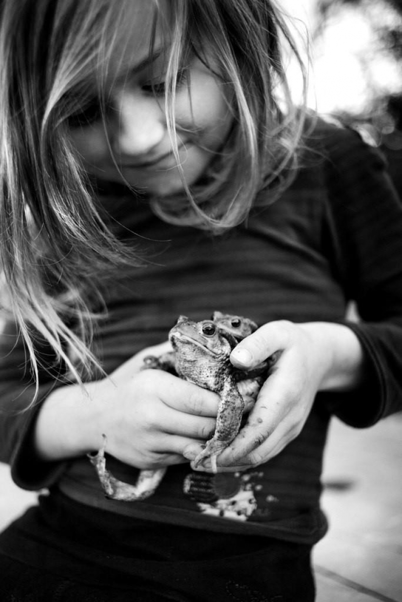 El más hermoso álbum familiar El más hermoso álbum familiar