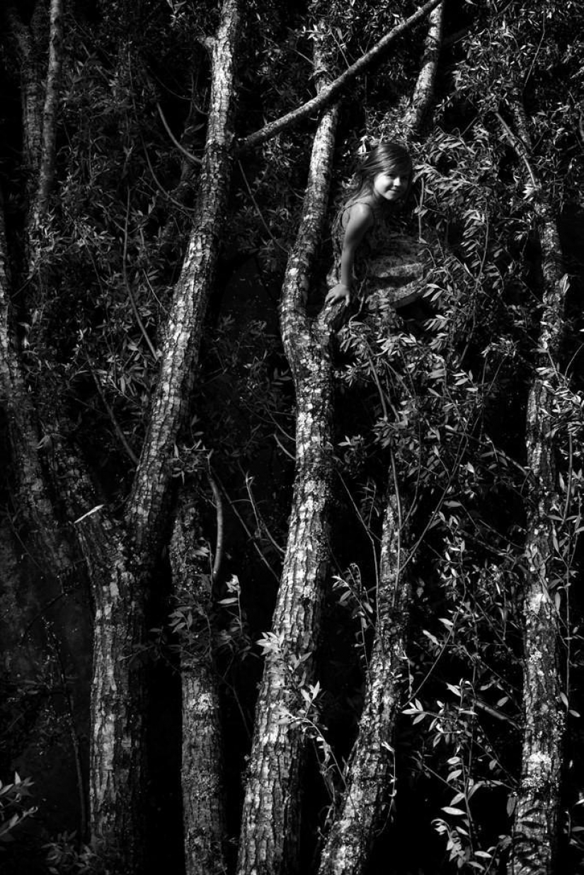 El más hermoso álbum familiar El más hermoso álbum familiar